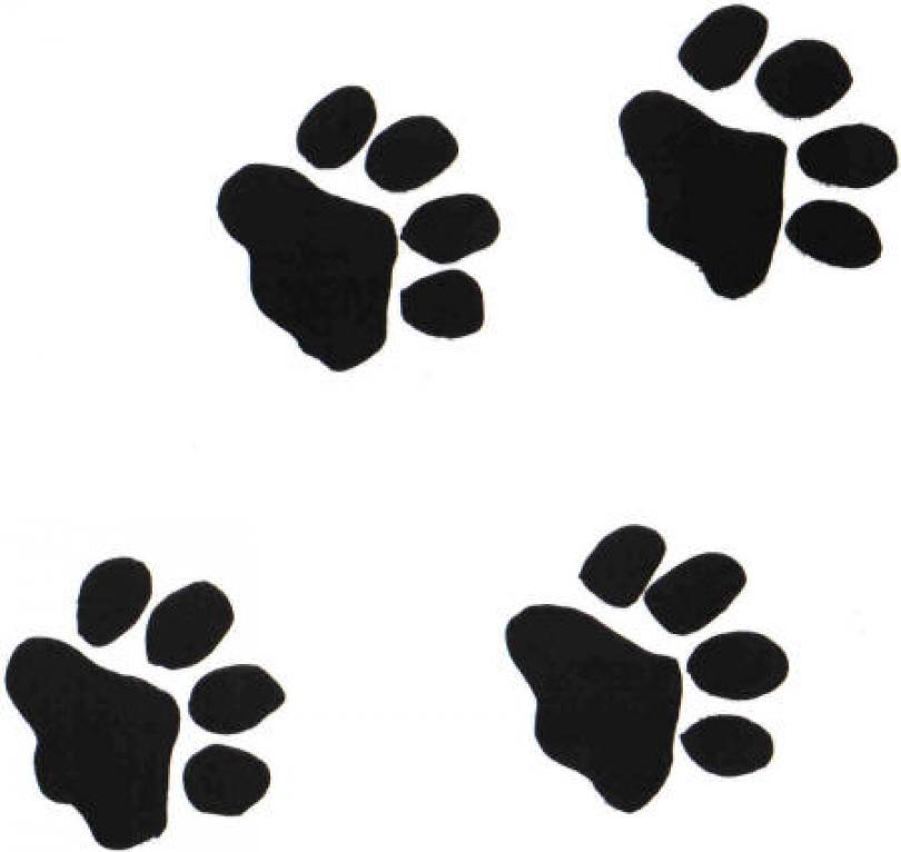 Panther Paws | Free Download Clip Art | Free Clip Art | on Clipart ...