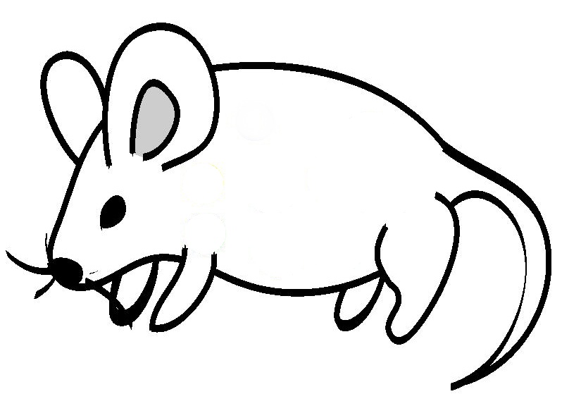 Mouse Easy Drawing - ClipArt Best