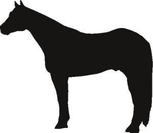 1000+ images about horse stencils