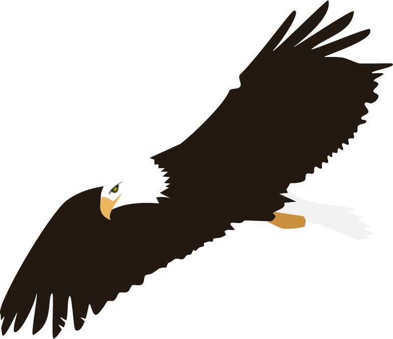 Free to Use & Public Domain Eagle Clip Art