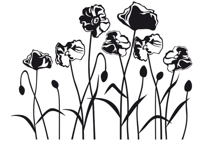 Drawings Of Poppies - ClipArt Best