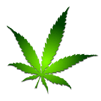 Marijuana Leaf Pictures, Images & Photos | Photobucket