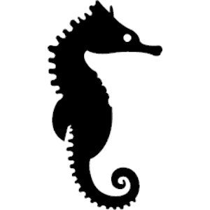 Seahorse png #24558 - Free Icons and PNG Backgrounds