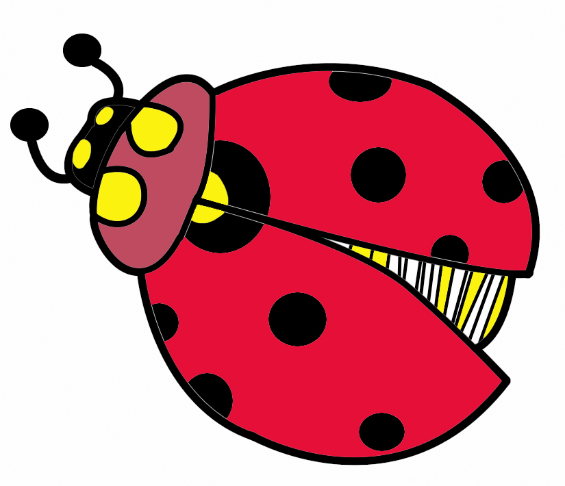 Bug Clipart | Free Download Clip Art | Free Clip Art | on Clipart ...