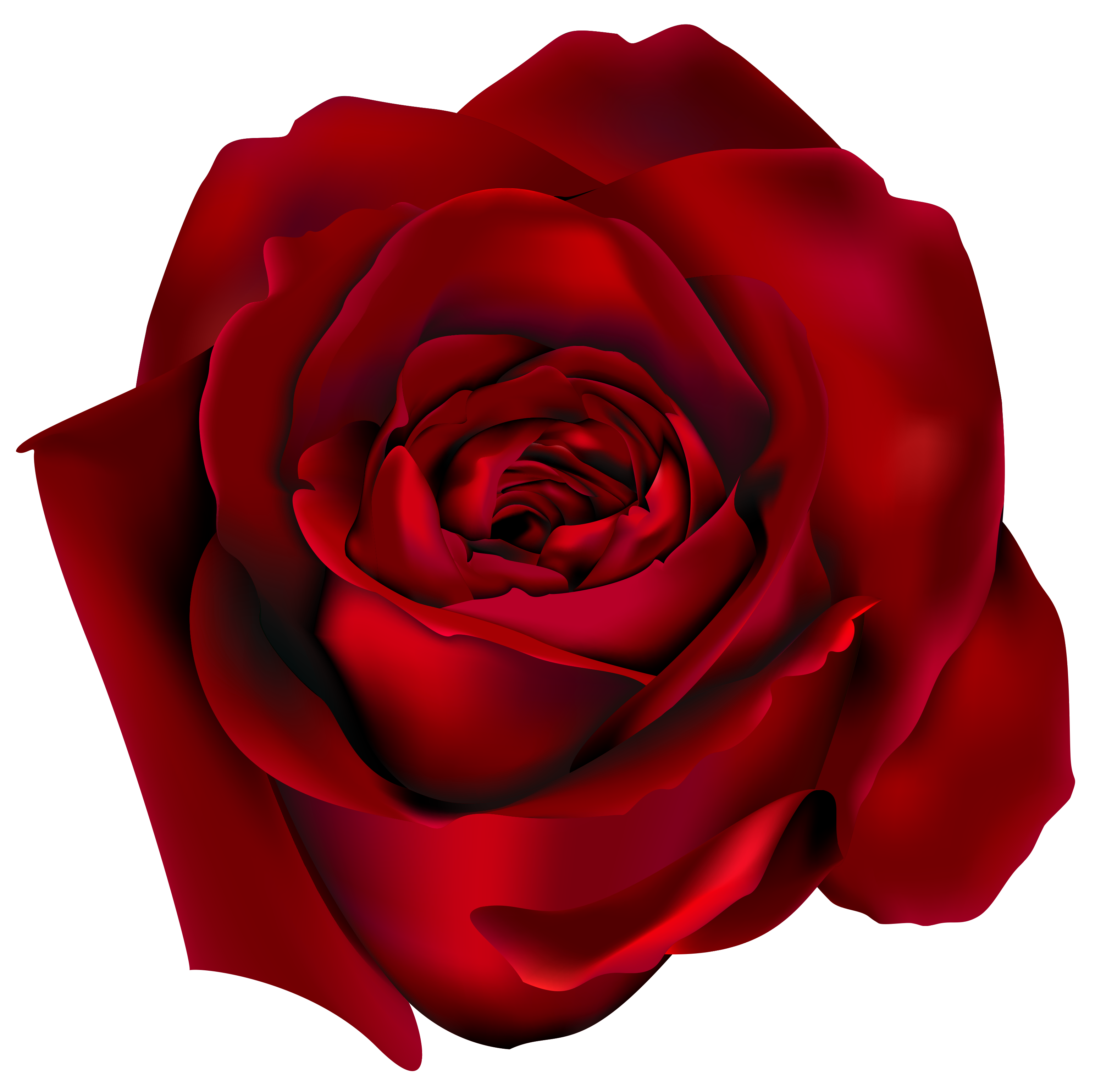 red-roses-clip-art-clipart-best