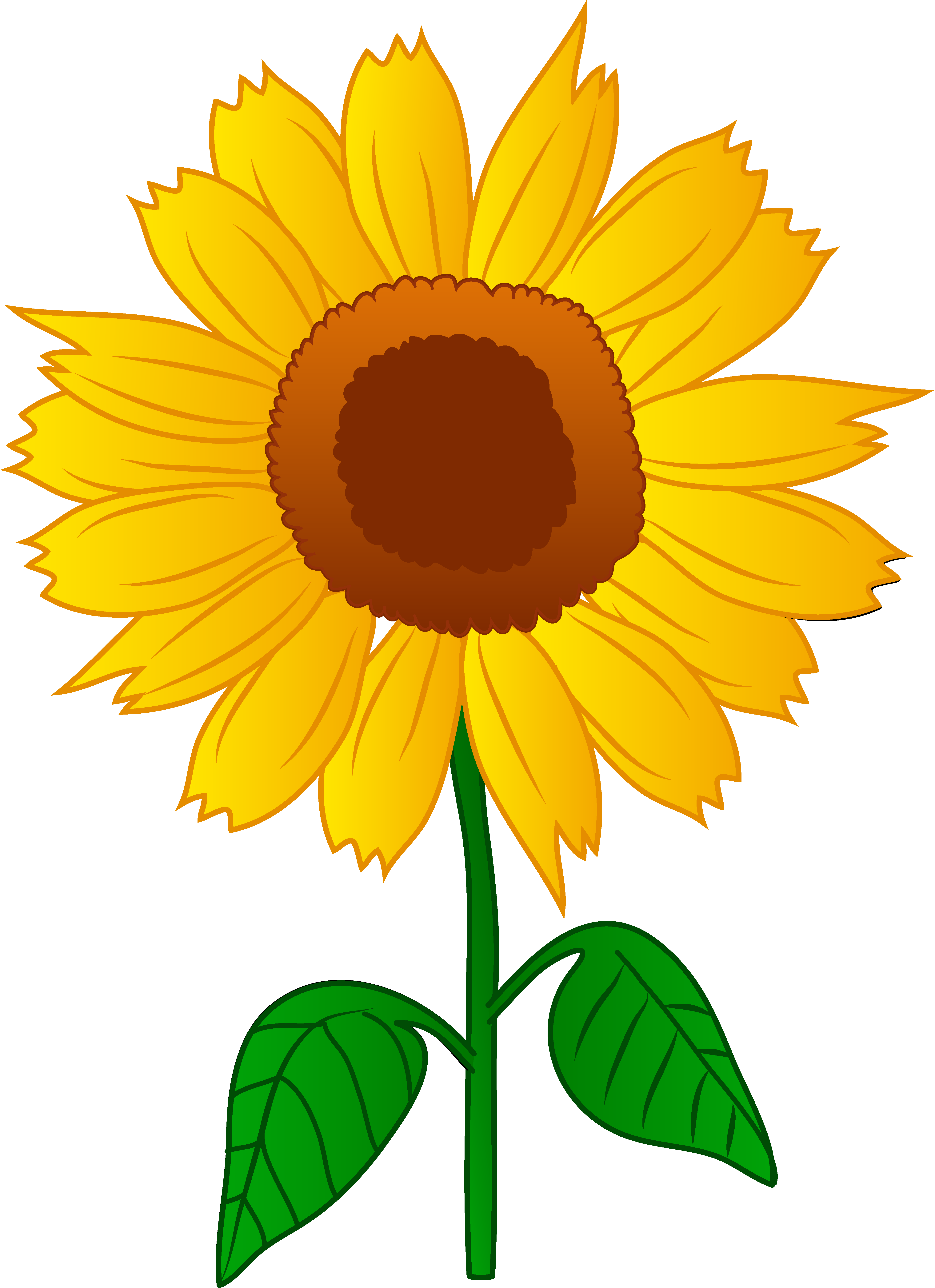 Cartoon Sunflower Pictures