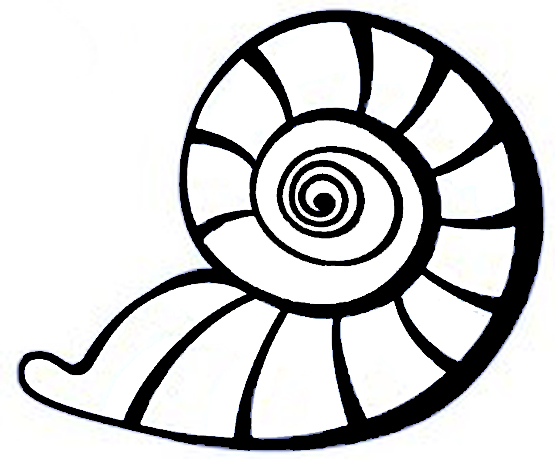 Seashell Drawing ClipArt Best