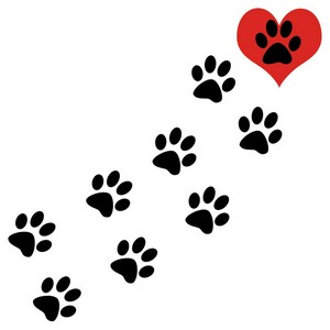 Paw Print Cat Graphic Wallpaper | Free HD Desktop Wallpapers for ...