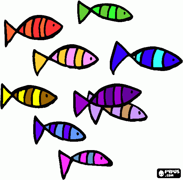School of fish clipart