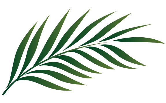 Palm leaf clip art - ClipartFox