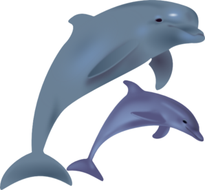 Dolphin jumping clipart