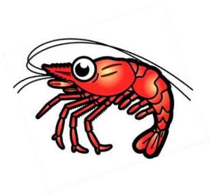 Free Shrimp Clipart