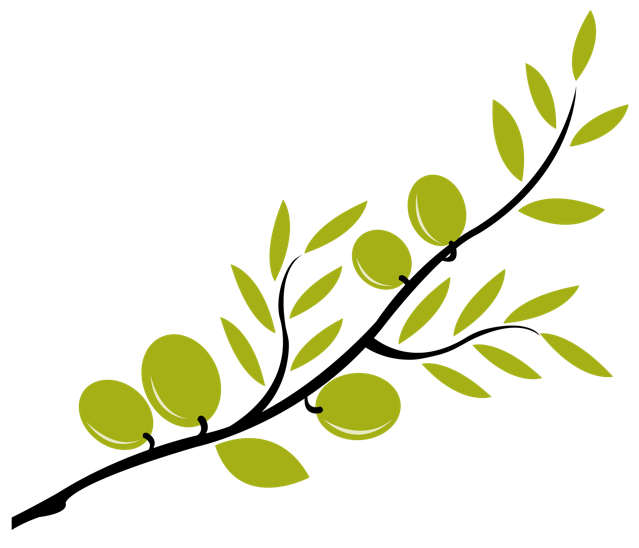 Olive Branch - City - ClipArt Best - ClipArt Best