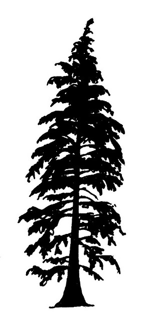 Fir Silhouette - ClipArt Best