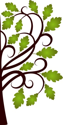 Oak Leaf Graphic - ClipArt Best