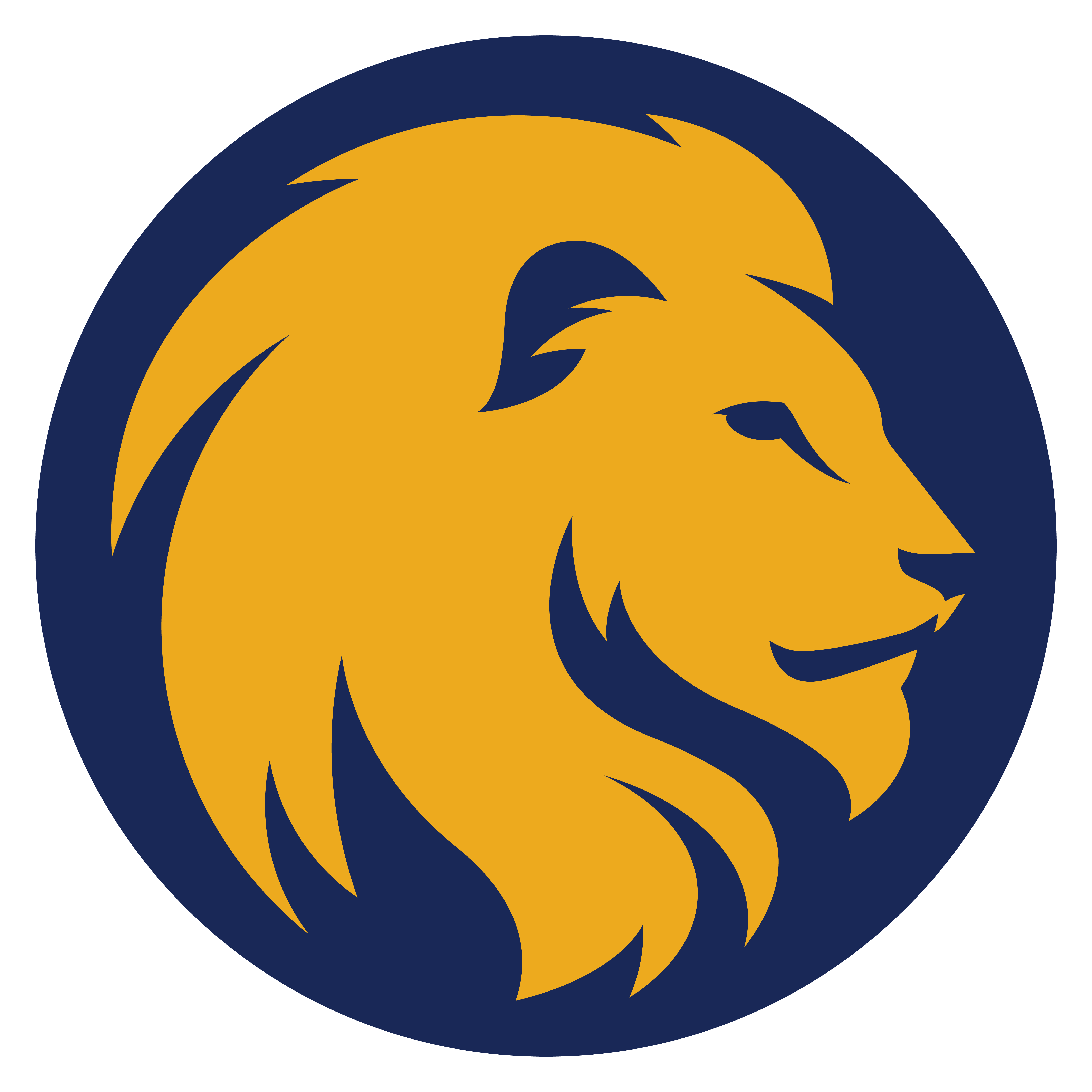 Lion Logo Design Png - ClipArt Best