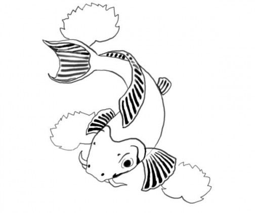 Fish Drawings | Fish Sketch ...