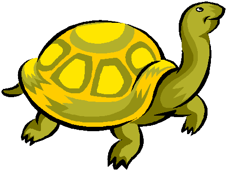 Turtle Gif - ClipArt Best