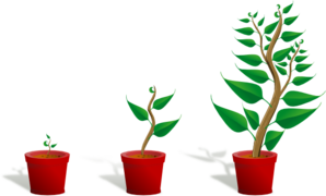 Plant Growth Clip Art - vector clip art online ...