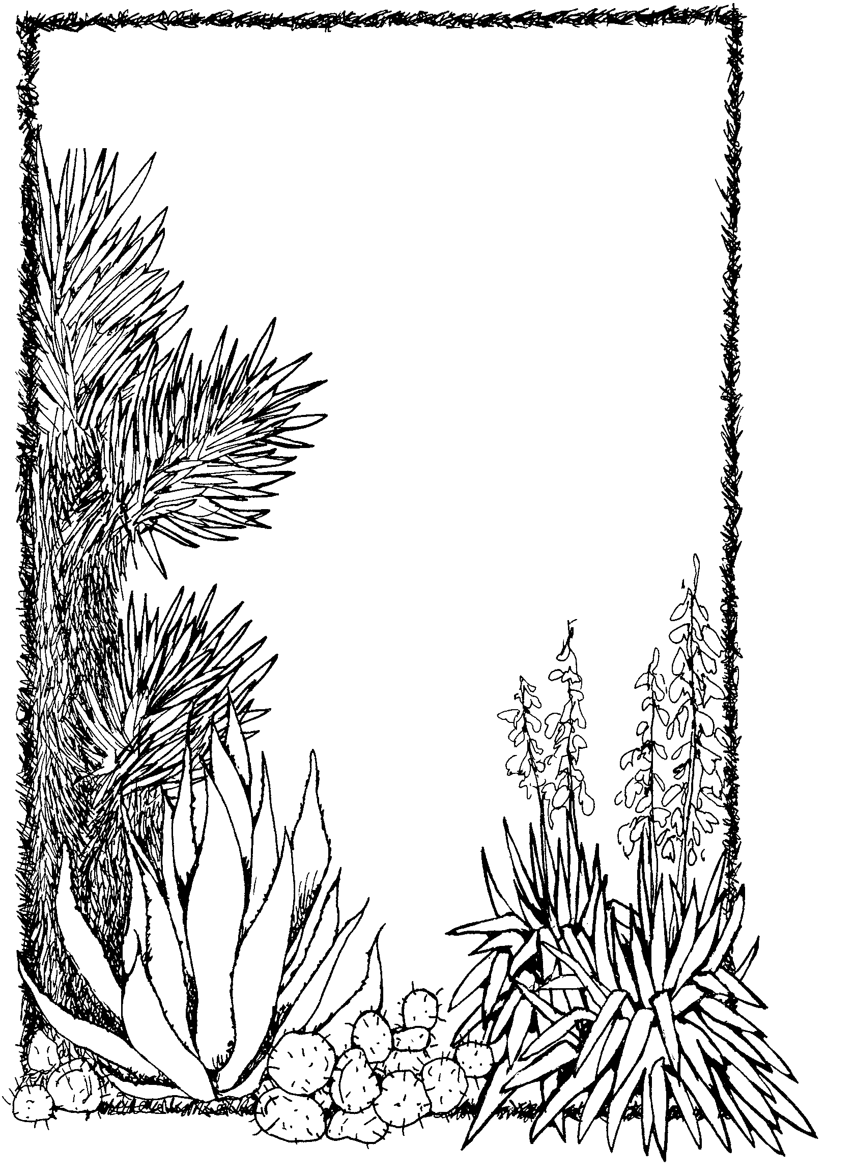 Plant Black And White Clipart