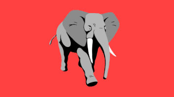 Elephant GIFs - Find & Share on GIPHY