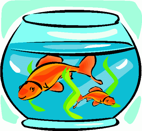 Aquarium Clipart - Tumundografico