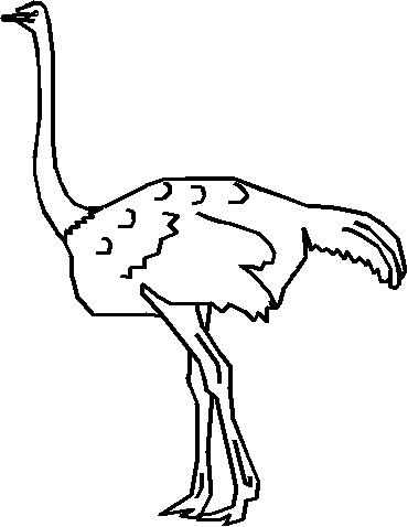 Coloring an ostrich with its long neck picture