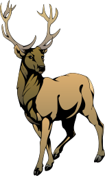 Stag - ClipArt Best
