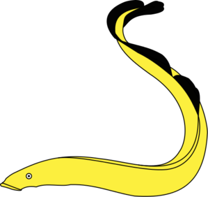 Eel Clip Art Free - Free Clipart Images