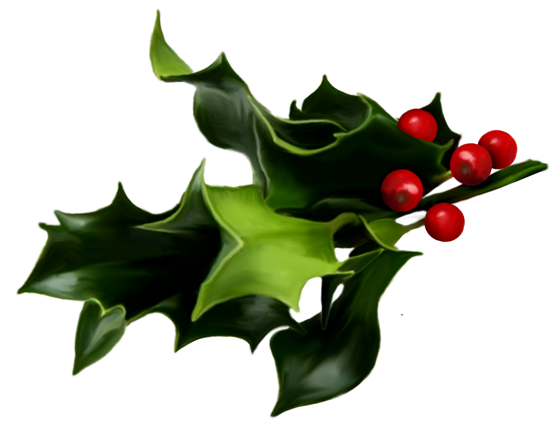 The Magical 'Greens' of the Christmas Season - StAug News