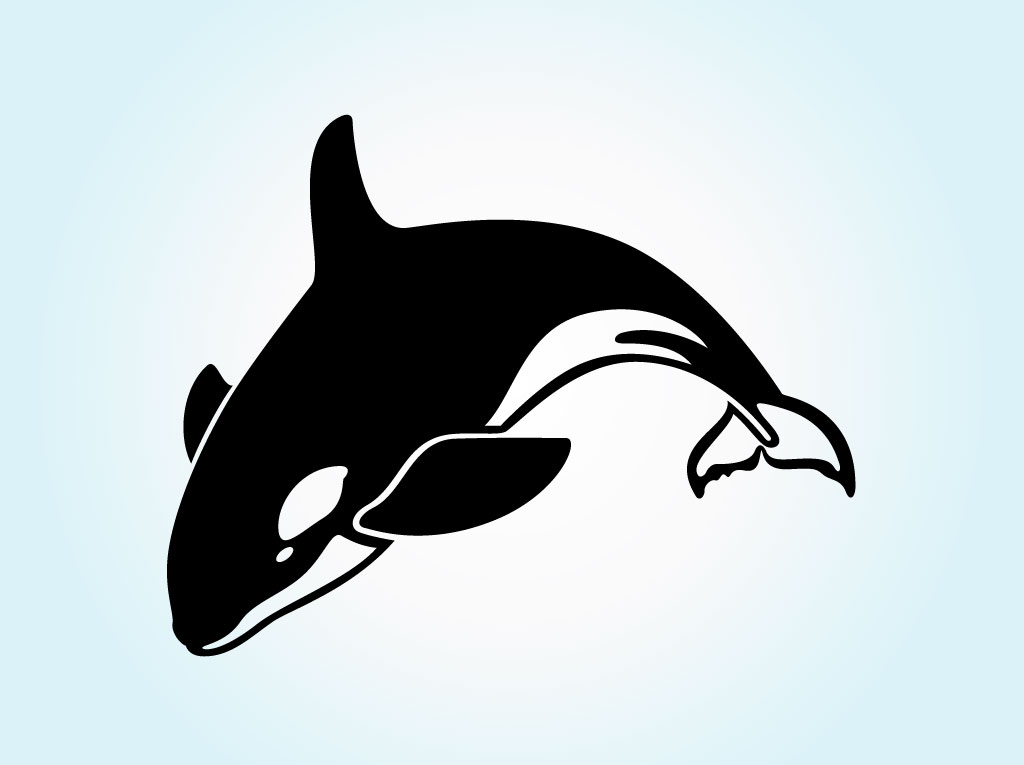 Orca Clipart | Free Download Clip Art | Free Clip Art | on Clipart ...