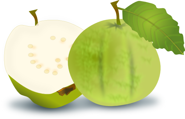 Guava clip art - vector clip art online, royalty free & public domain