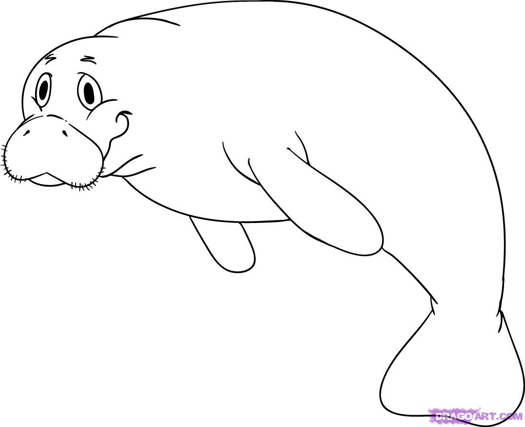 How to Draw a Cartoon Manatee, Step by Step, Cartoon Animals ...