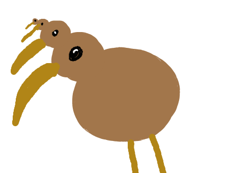 deviantART Forum: Kiwi Bird