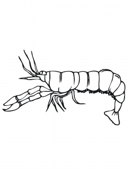 Crawfish Side View coloring page | Super Coloring