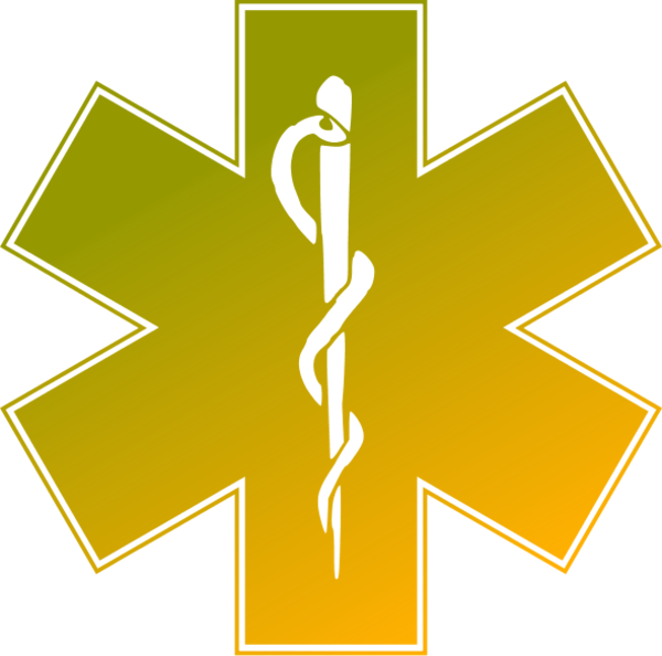 EMS emergency medical service logo - vector Clip Art