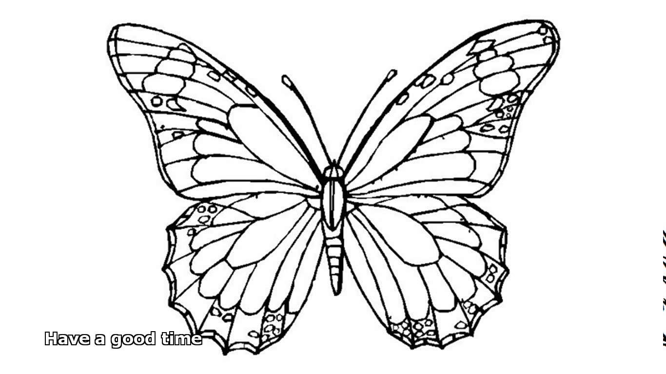 butterfly coloring pages - YouTube