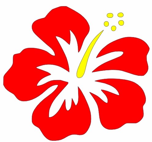 Hibiscus Cartoon | Free Download Clip Art | Free Clip Art | on ...