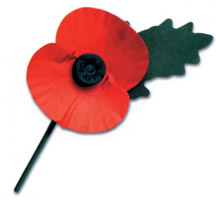 Remembrance Day 2014 (Please lock this thread. Event over ...