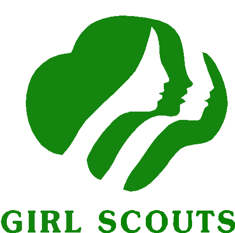 St. Kevin's Girl Scout Cadette Troop 4288