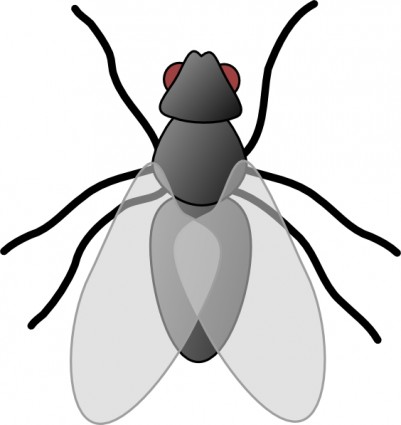 Insects and bugs clipart