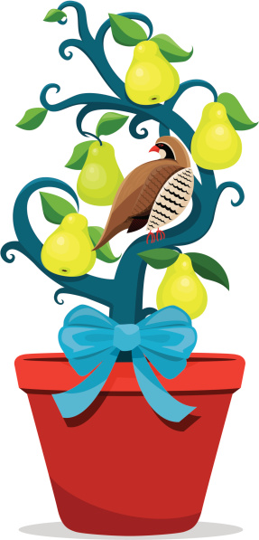 Partridge In A Pear Tree Clip Art, Vector Images & Illustrations ...