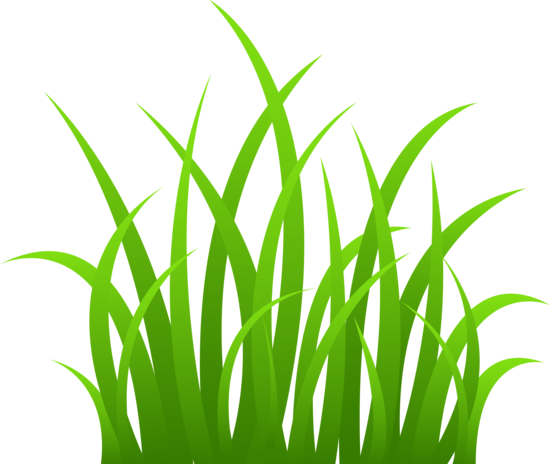 Grass blade clipart