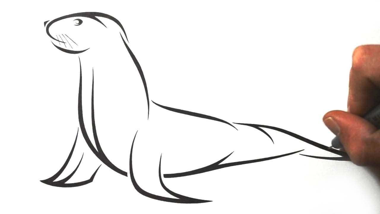 How to Draw a Sea Lion - Tribal Tattoo Design Style - YouTube