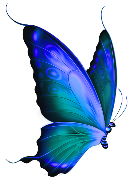 Blue Butterfly Clipart - Free Clipart Images