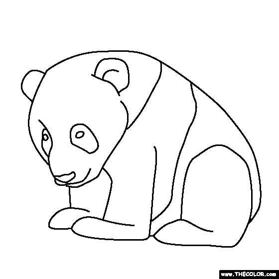 Coloring Pages Draw A Panda Bear - Pipress.net