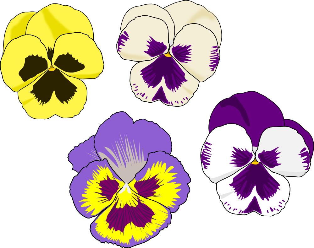 Pansy Flower Clipart