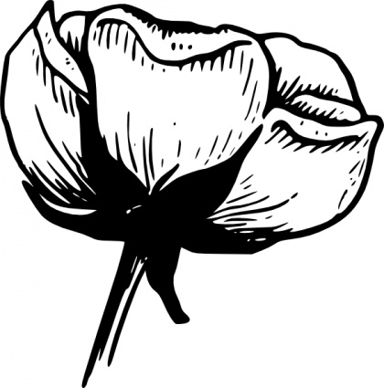 Calyx Of A Flower clip art vector, free vectors