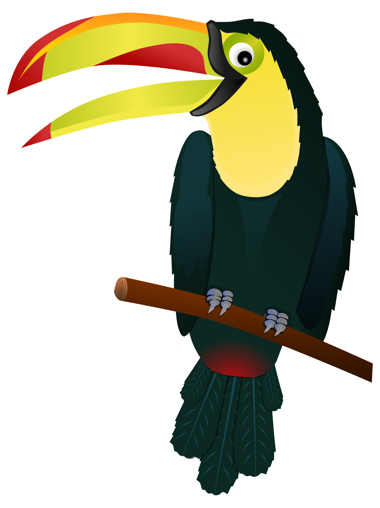 Toucan Clipart Black And White - Free Clipart Images