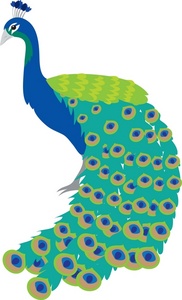 Peacock Clipart Image - A male peacock displaying his colorful ...